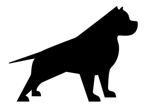 Pitbull matrica 12