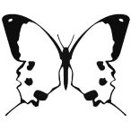 Pillangó matrica 8