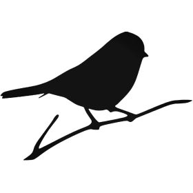 Pinty "1" Madár matrica