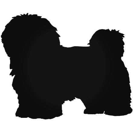 Havanese Kutya matrica