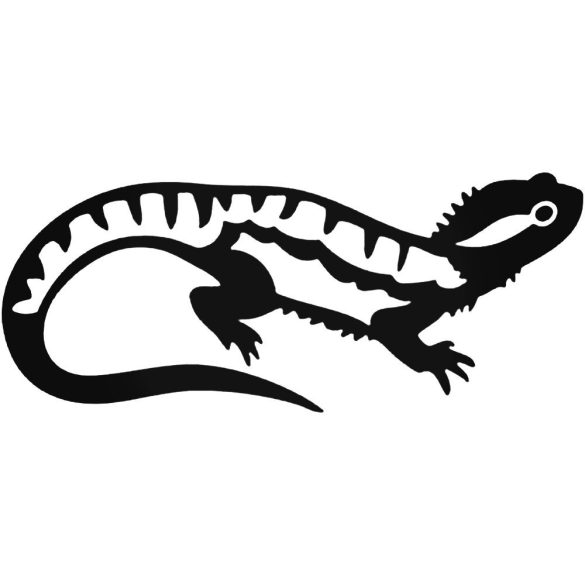 Iguana matrica