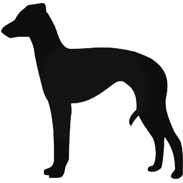 Olasz agár kutya matrica