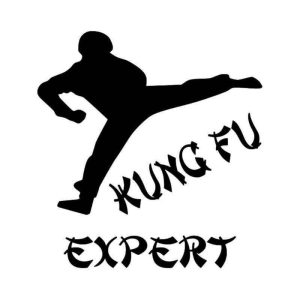 Kung-Fu Expert matrica