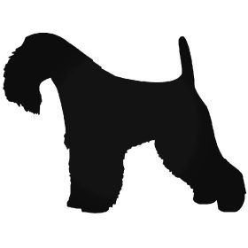 Terrier kutyus matrica