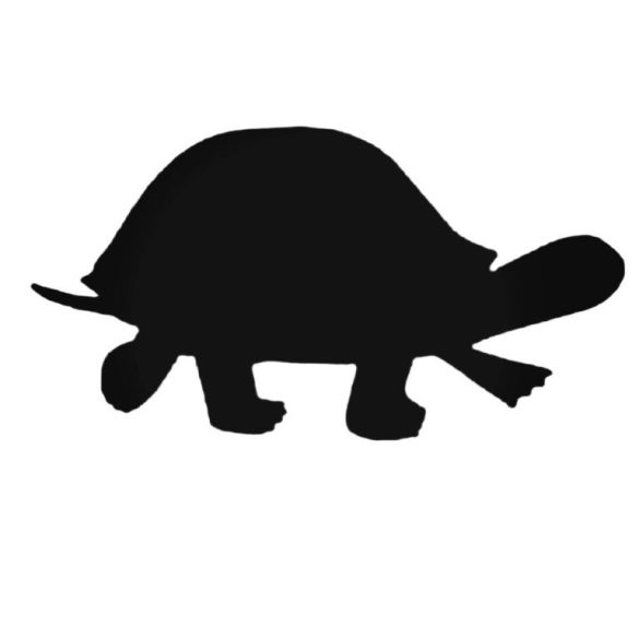 Lépkedő teknős matrica