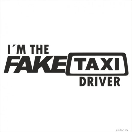 FakeTaxi Driver - Autómatrica