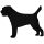 Border Terrier Kutya matrica