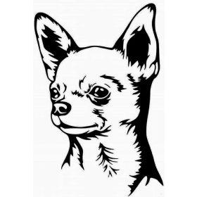 Csivava autómatrica