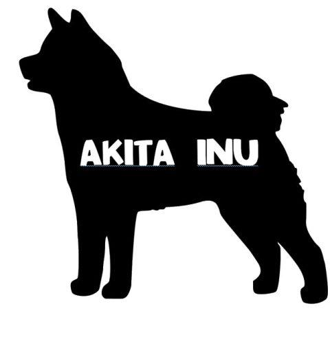 Akita Inu névvel matrica