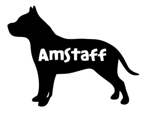 Amstaff névvel matrica 