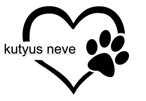 Szív és tappancs, a kutyusod nevével autómatrica