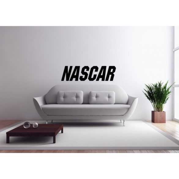 NASCAR Falmatrica